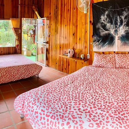 Moc Gia Vien Homestay - Dalat Exterior foto